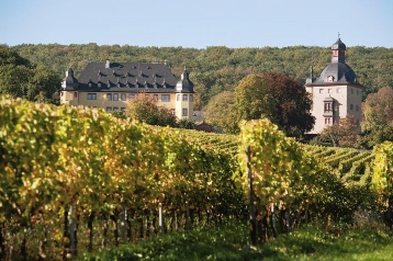 Schloss Vollrads